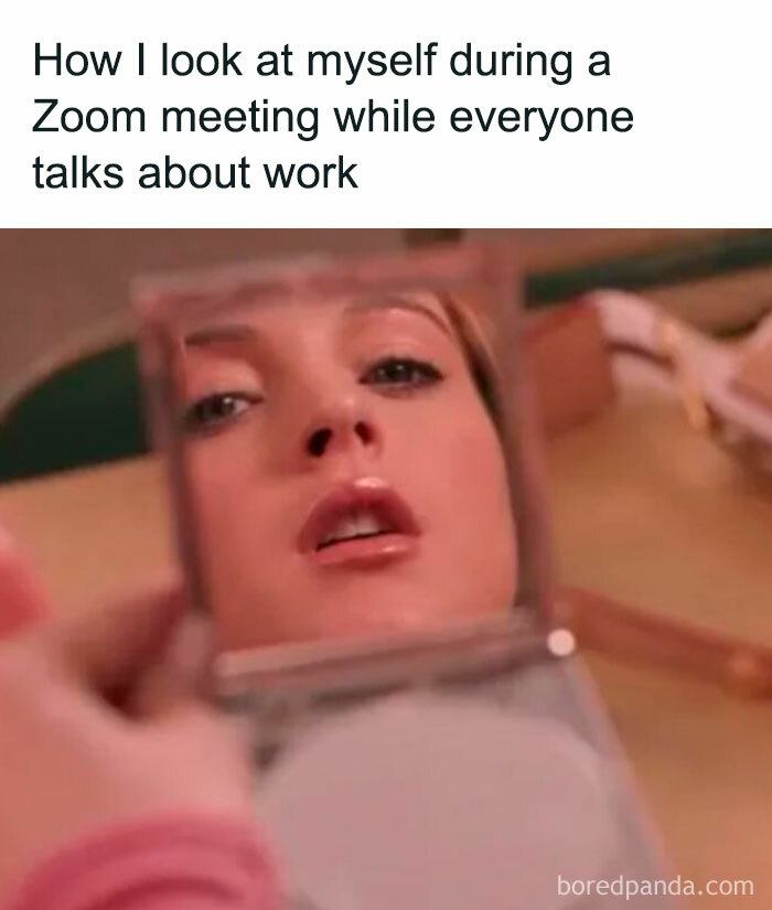 Funny post satirizing corporate life: a meme of someone looking in a mirror during a Zoom meeting.