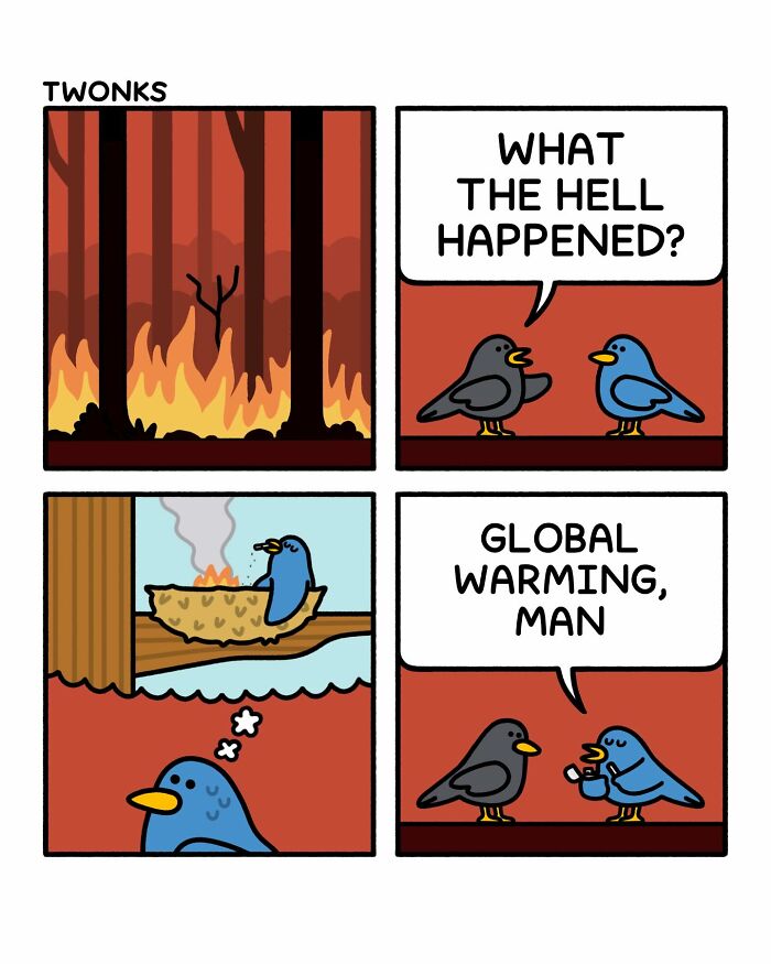 Funny comics by cartoonist Steve Nelson: two birds discussing global warming near a forest fire.