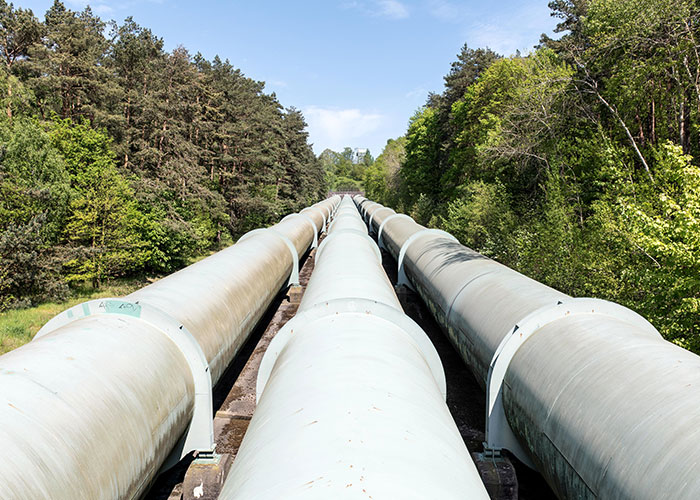 Large pipes running through a forest, representing serious problems requiring innovative solutions.