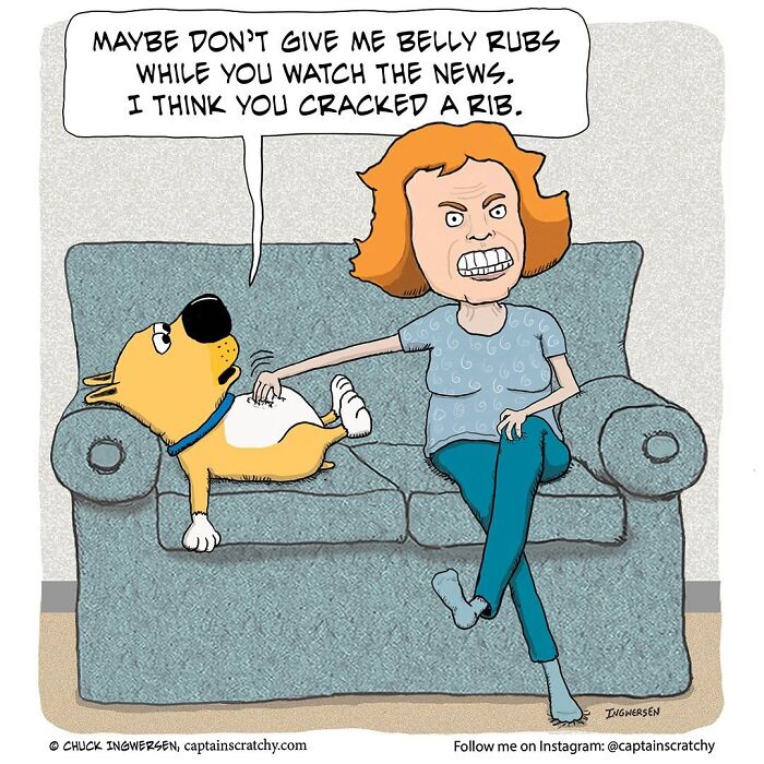 A comic showing a woman giving a dog a belly rub on the couch, from a collection of funny animal comics.