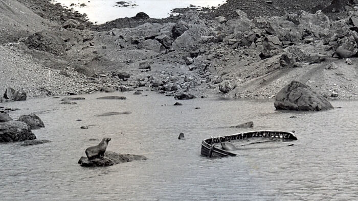 A seal and a shipwreck in an icy landscape, hinting at an unsolved mystery from the past.