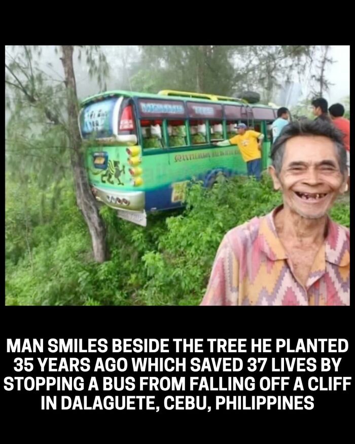 Historical photos: A man smiles by the tree that saved a bus from falling off a cliff.