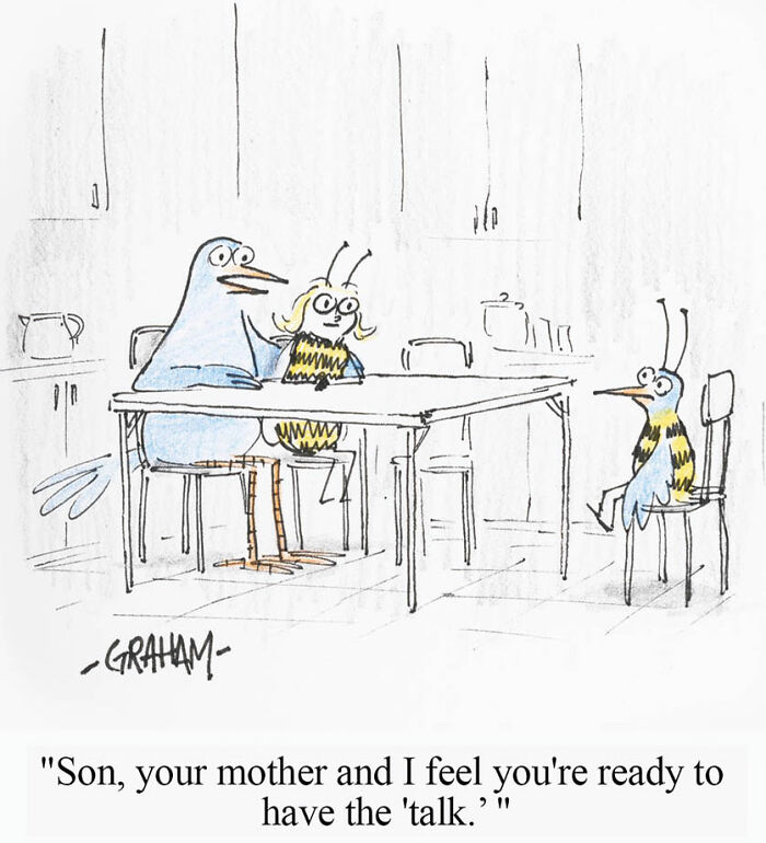 Subtle humor comic of bird parents talking to their child about 'the talk' in a simple kitchen setting