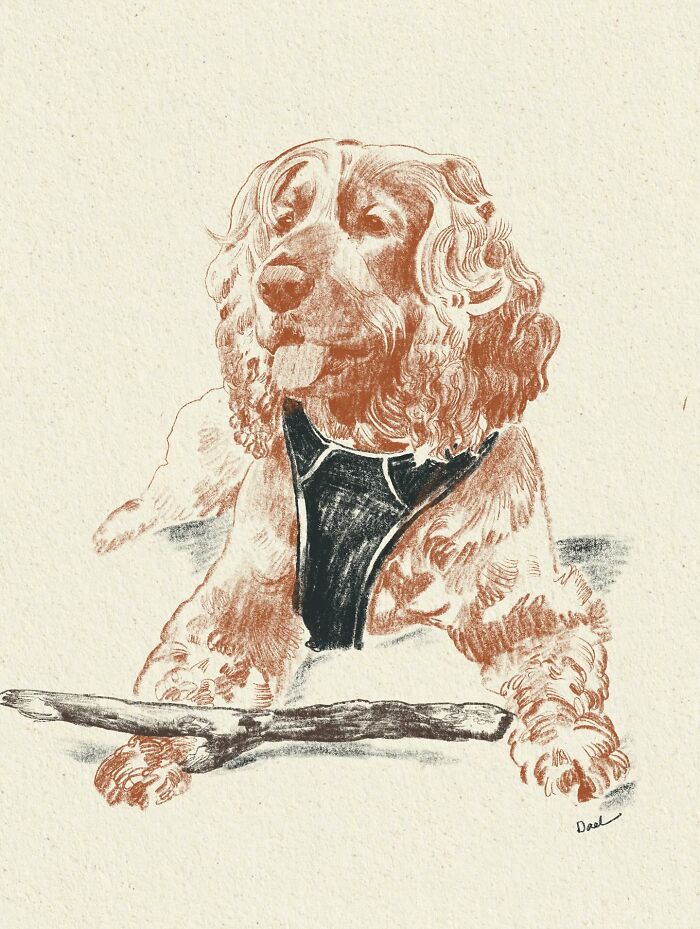 This Artist Draws Dog Portraits That Perfectly Capture Each Pet’s Personality (76 Pics)