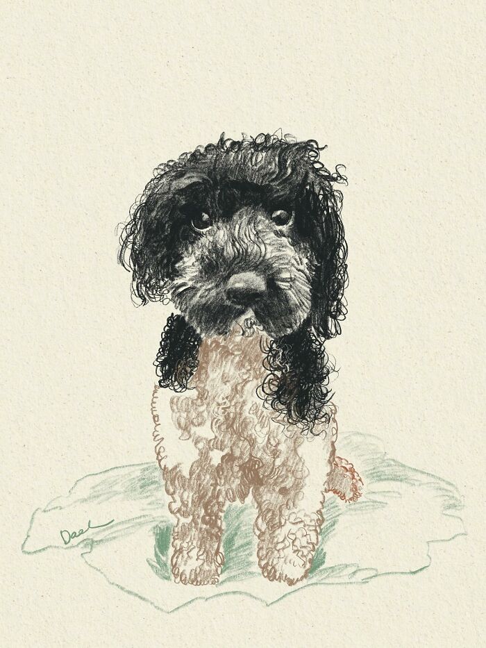 This Artist Draws Dog Portraits That Perfectly Capture Each Pet’s Personality (76 Pics)
