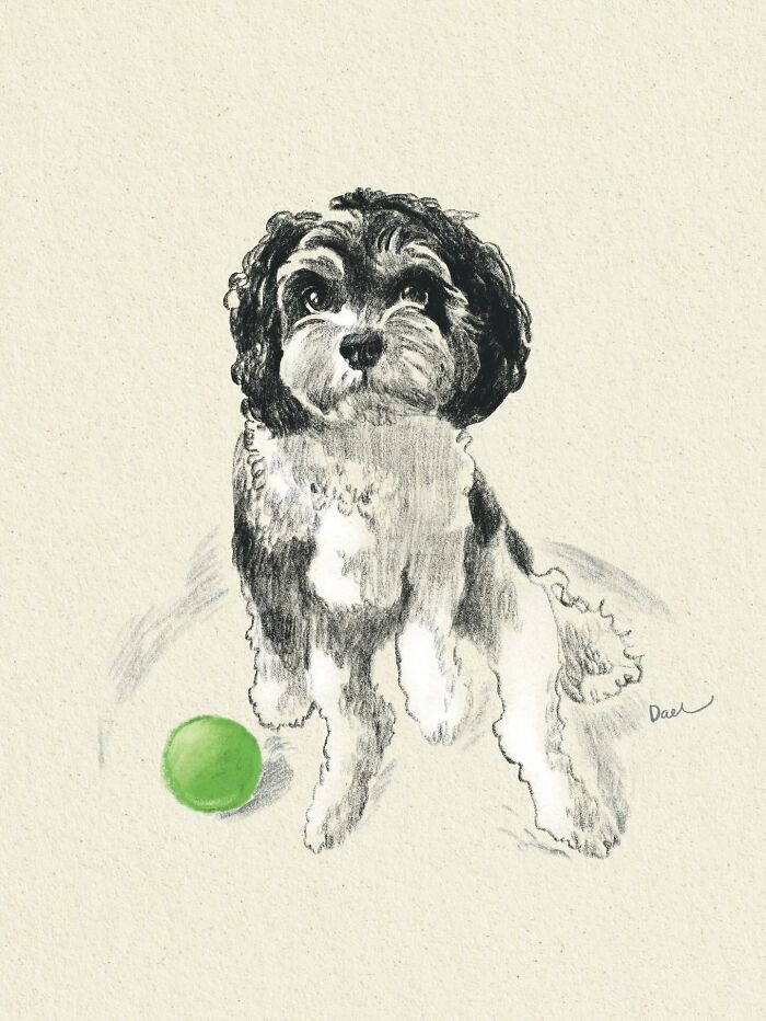 This Artist Draws Dog Portraits That Perfectly Capture Each Pet’s Personality (76 Pics)