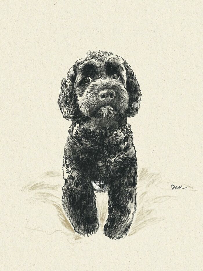 This Artist Draws Dog Portraits That Perfectly Capture Each Pet’s Personality (76 Pics)