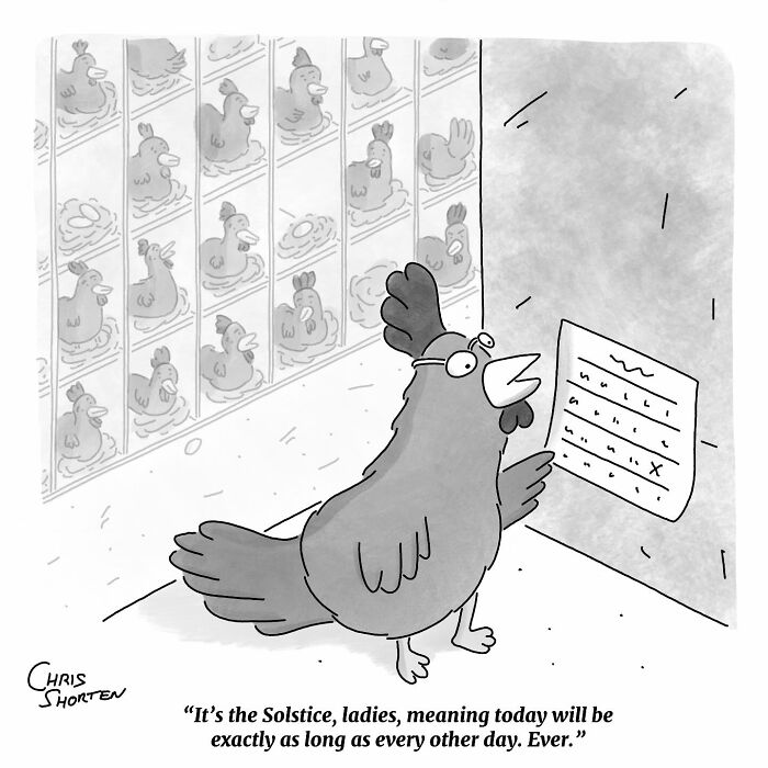 This Cartoonist Finds Humor In Everyday Absurdities, And Here Are 41 Of His Funniest Comics