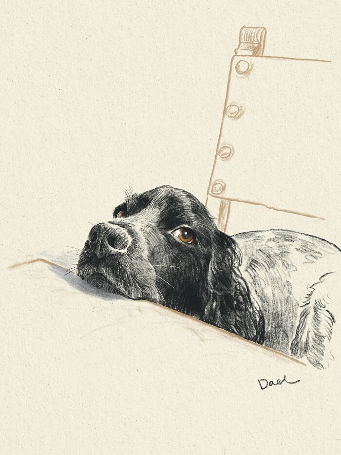 This Artist Draws Dog Portraits That Perfectly Capture Each Pet’s Personality (76 Pics)