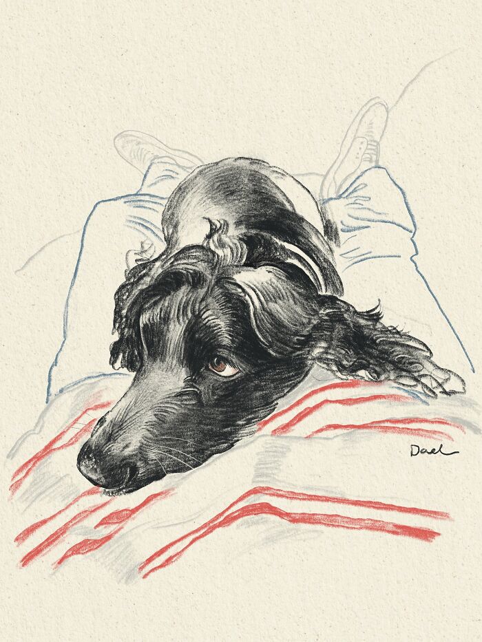 This Artist Draws Dog Portraits That Perfectly Capture Each Pet’s Personality (76 Pics)