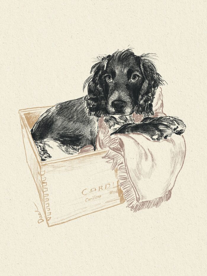 This Artist Draws Dog Portraits That Perfectly Capture Each Pet’s Personality (76 Pics)