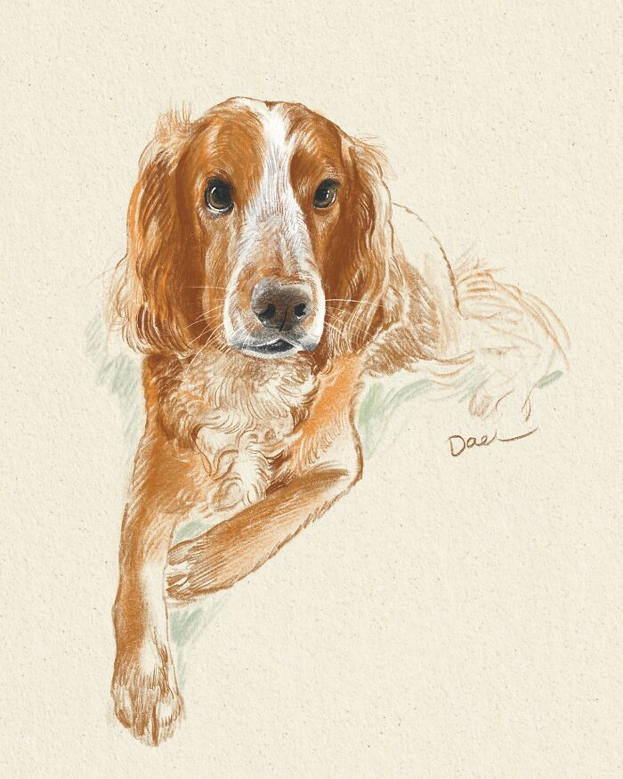 This Artist Draws Dog Portraits That Perfectly Capture Each Pet’s Personality (76 Pics)