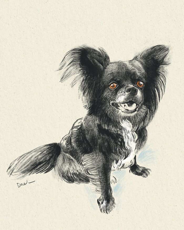 This Artist Draws Dog Portraits That Perfectly Capture Each Pet’s Personality (76 Pics)