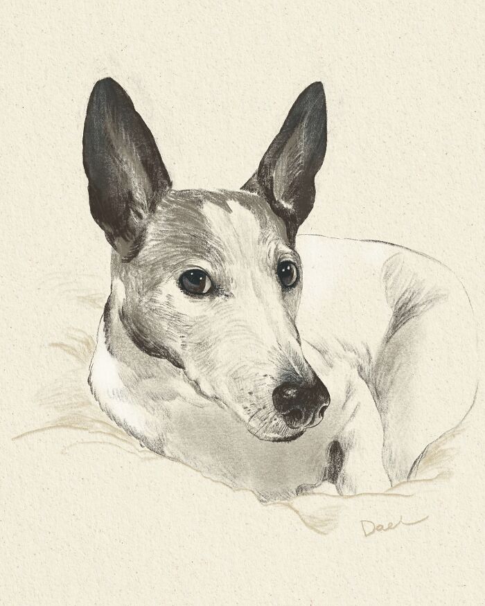 This Artist Draws Dog Portraits That Perfectly Capture Each Pet’s Personality (76 Pics)