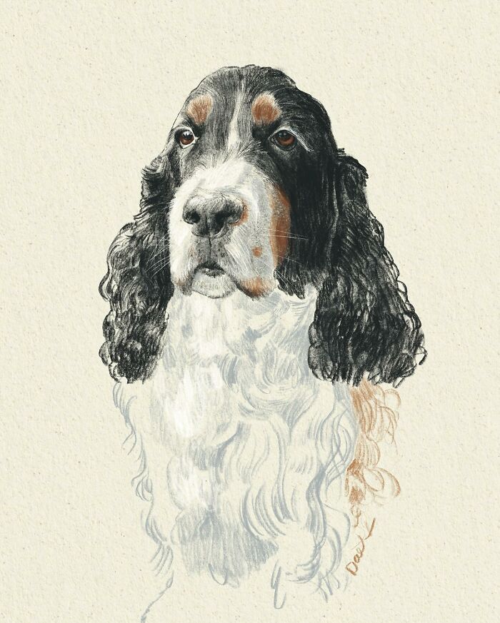 This Artist Draws Dog Portraits That Perfectly Capture Each Pet’s Personality (76 Pics)