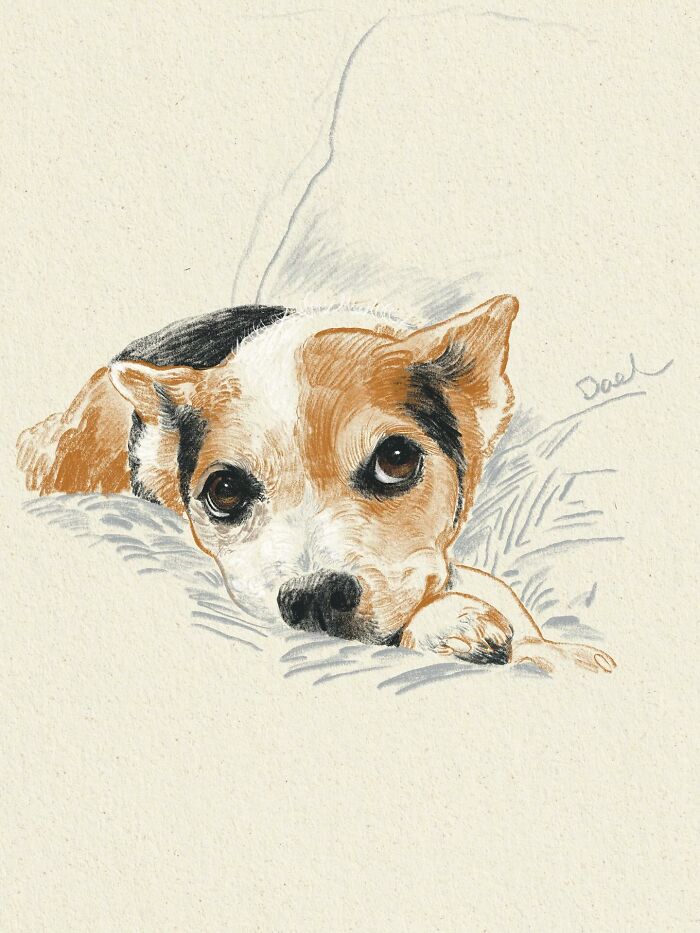 This Artist Draws Dog Portraits That Perfectly Capture Each Pet’s Personality (76 Pics)