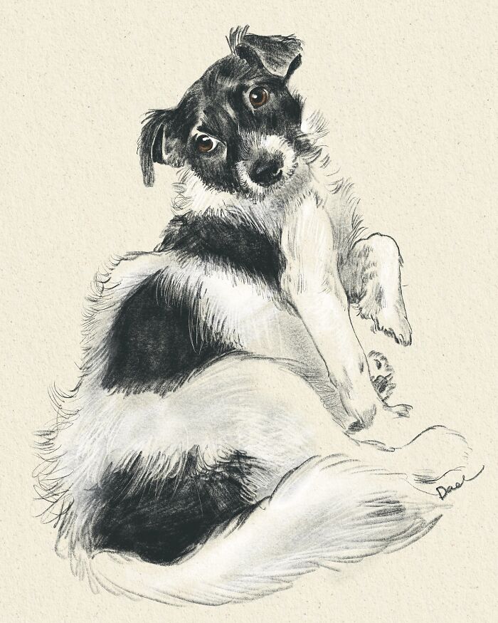 This Artist Draws Dog Portraits That Perfectly Capture Each Pet’s Personality (76 Pics)