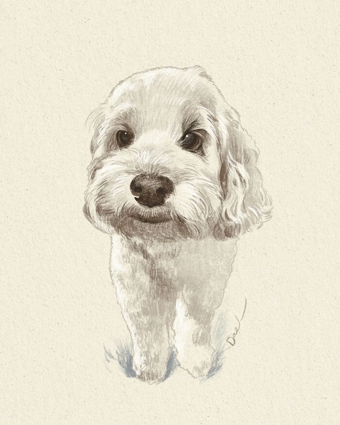 This Artist Draws Dog Portraits That Perfectly Capture Each Pet’s Personality (76 Pics)