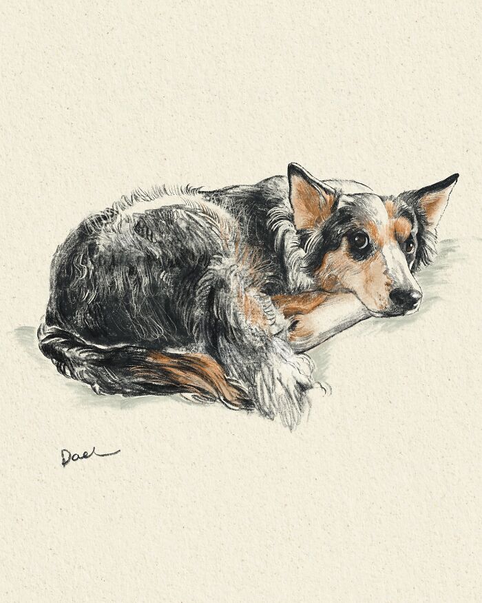 This Artist Draws Dog Portraits That Perfectly Capture Each Pet’s Personality (76 Pics)