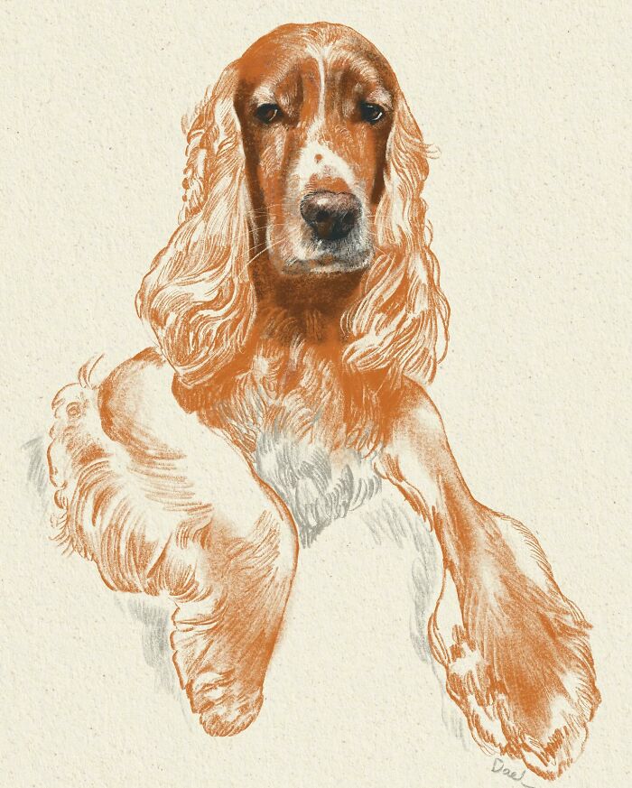 This Artist Draws Dog Portraits That Perfectly Capture Each Pet’s Personality (76 Pics)