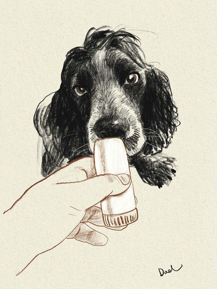 This Artist Draws Dog Portraits That Perfectly Capture Each Pet’s Personality (76 Pics)