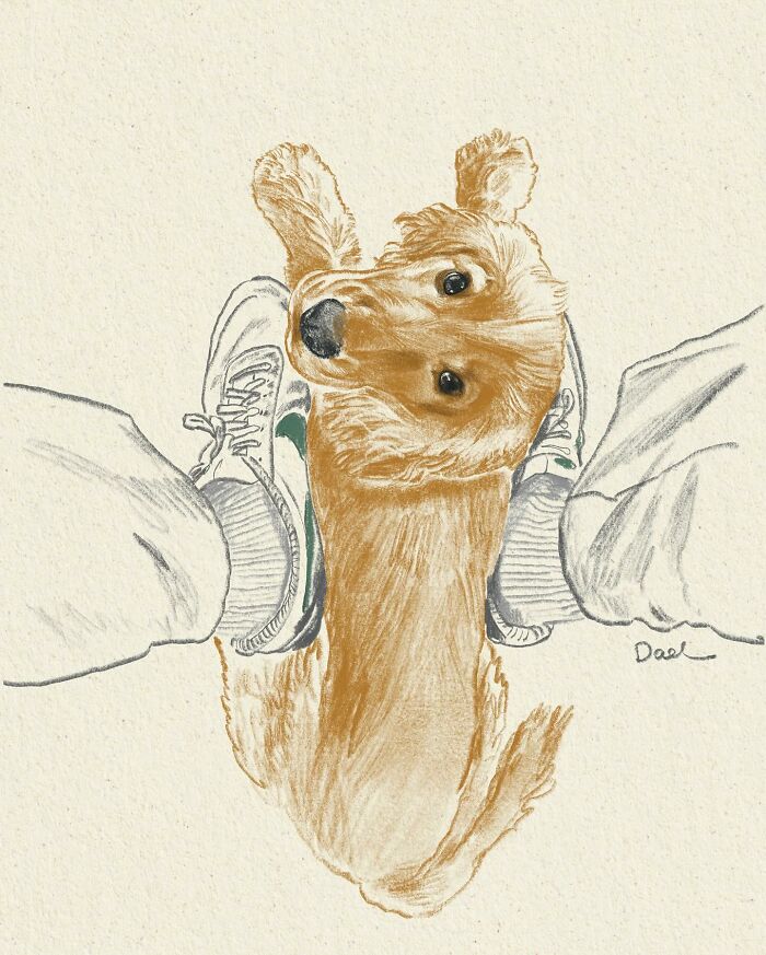 This Artist Draws Dog Portraits That Perfectly Capture Each Pet’s Personality (76 Pics)
