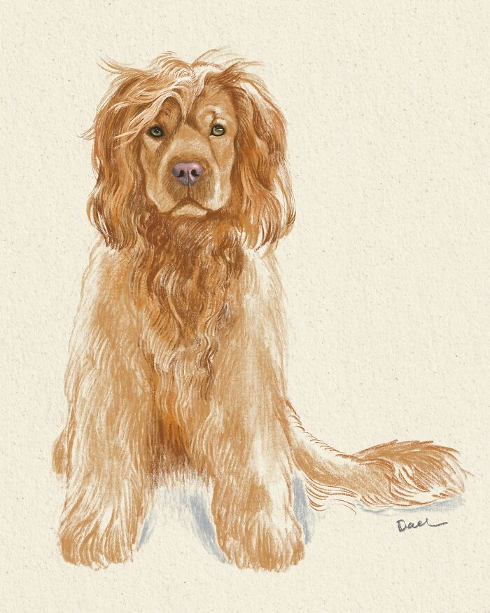 This Artist Draws Dog Portraits That Perfectly Capture Each Pet’s Personality (76 Pics)