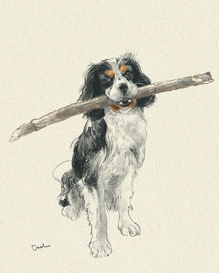 This Artist Draws Dog Portraits That Perfectly Capture Each Pet’s Personality (76 Pics)