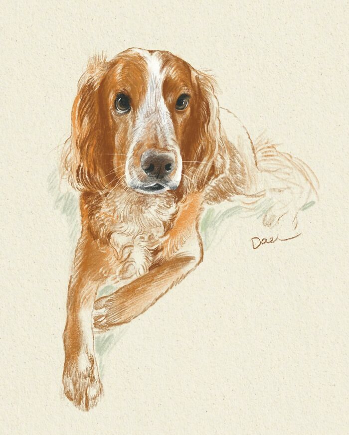 This Artist Draws Dog Portraits That Perfectly Capture Each Pet’s Personality (76 Pics)