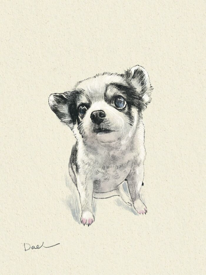 This Artist Draws Dog Portraits That Perfectly Capture Each Pet’s Personality (76 Pics)