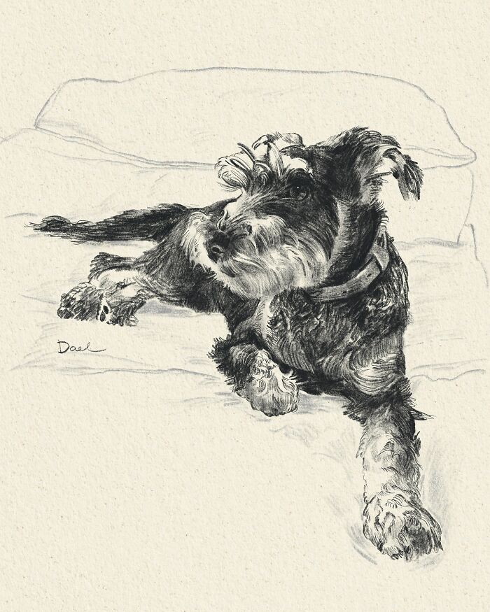 This Artist Draws Dog Portraits That Perfectly Capture Each Pet’s Personality (76 Pics)