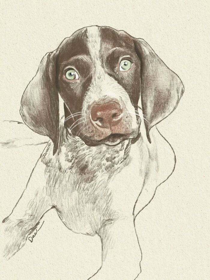 This Artist Draws Dog Portraits That Perfectly Capture Each Pet’s Personality (76 Pics)