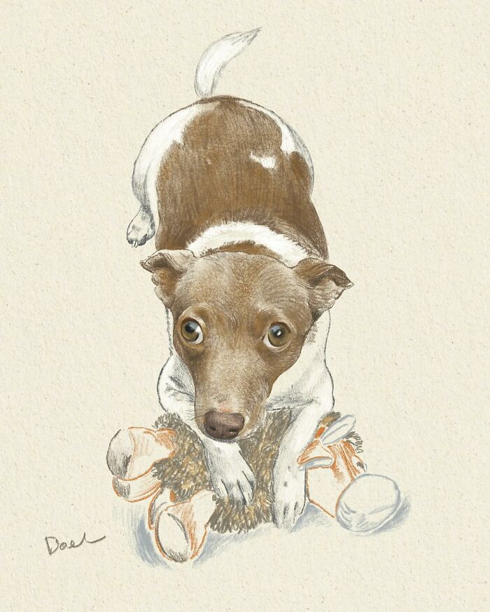 This Artist Draws Dog Portraits That Perfectly Capture Each Pet’s Personality (76 Pics)