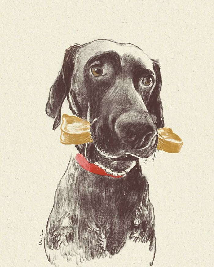 This Artist Draws Dog Portraits That Perfectly Capture Each Pet’s Personality (76 Pics)