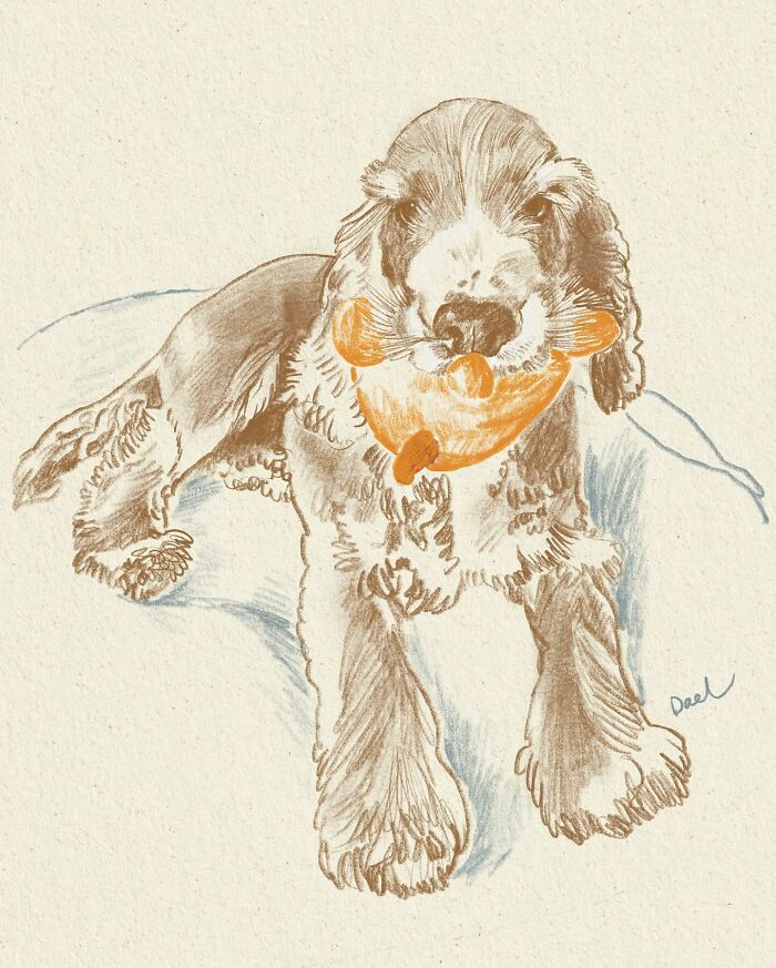 This Artist Draws Dog Portraits That Perfectly Capture Each Pet’s Personality (76 Pics)