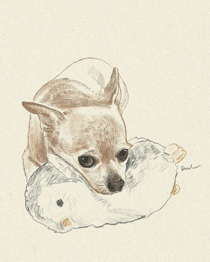 This Artist Draws Dog Portraits That Perfectly Capture Each Pet’s Personality (76 Pics)