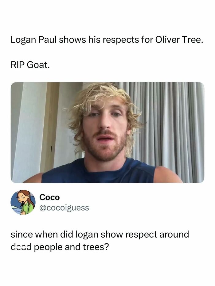 A screenshot from a social media post with a picture of Logan Paul and text about pop culture posts.