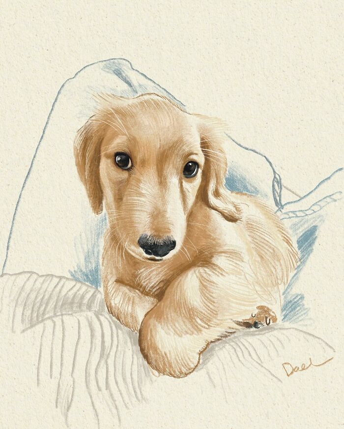 This Artist Draws Dog Portraits That Perfectly Capture Each Pet’s Personality (76 Pics)