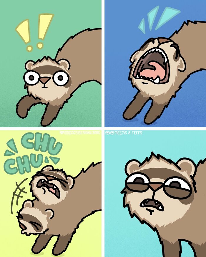 Funny situations of a ferret in four panels showing various emotions: surprised, screaming, sneezing, and annoyed.