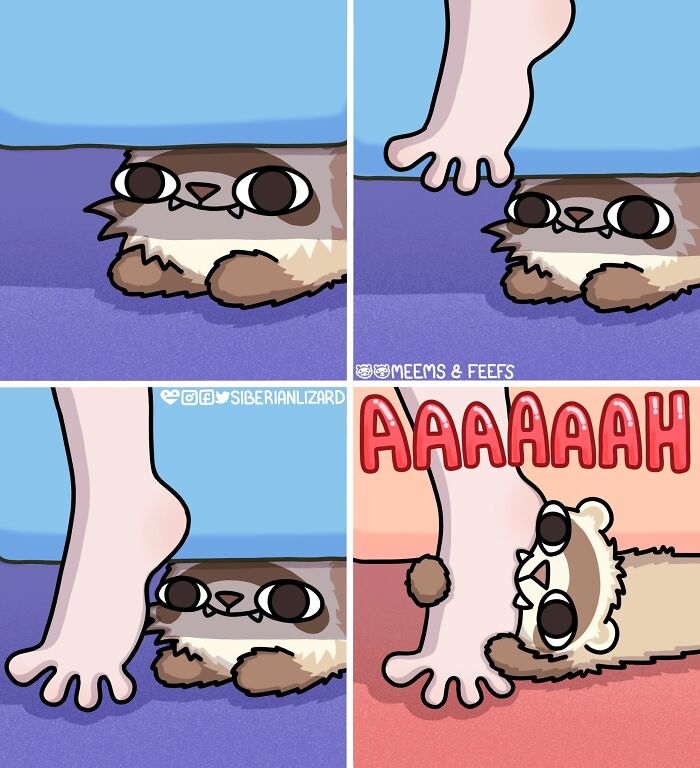 A Siberian girl illustrates funny situations showing a ferret biting a person's foot hiding under furniture.