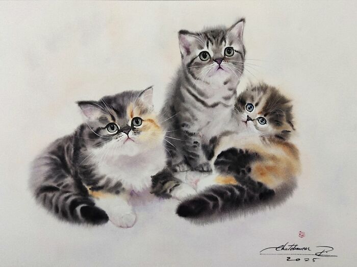 Cat Paintings