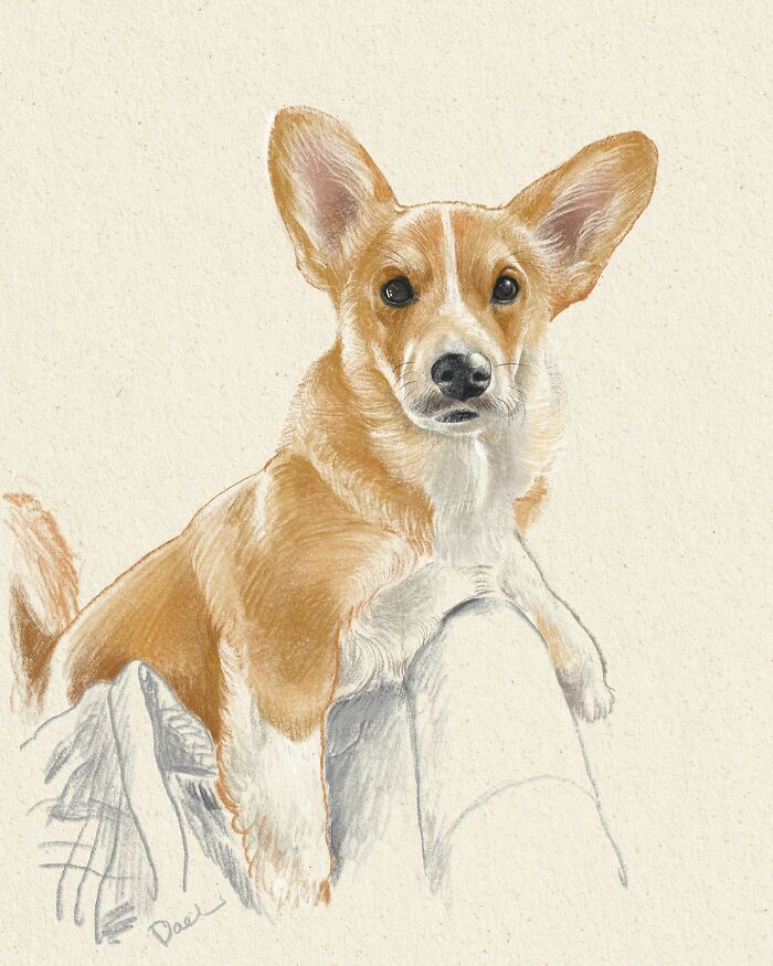 This Artist Draws Dog Portraits That Perfectly Capture Each Pet’s Personality (76 Pics)