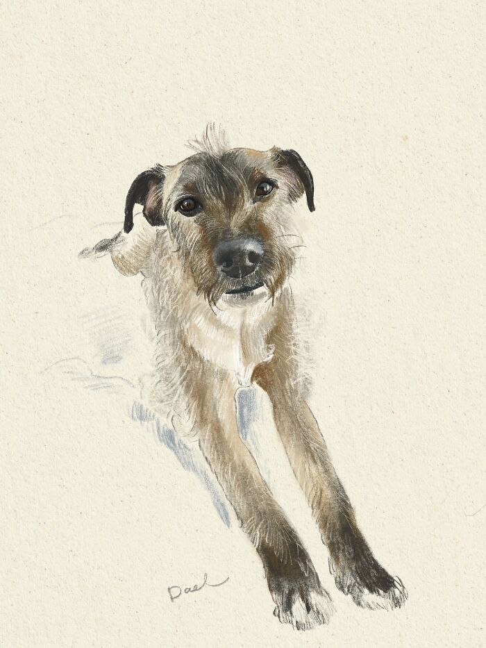 This Artist Draws Dog Portraits That Perfectly Capture Each Pet’s Personality (76 Pics)