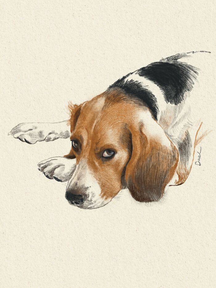 This Artist Draws Dog Portraits That Perfectly Capture Each Pet’s Personality (76 Pics)