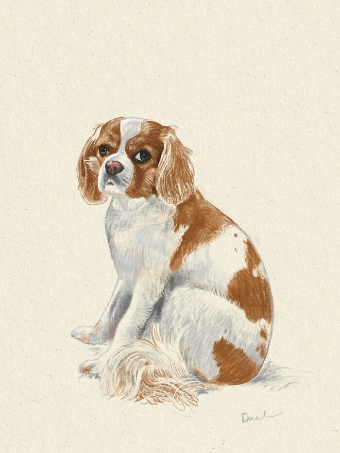 This Artist Draws Dog Portraits That Perfectly Capture Each Pet’s Personality (76 Pics)
