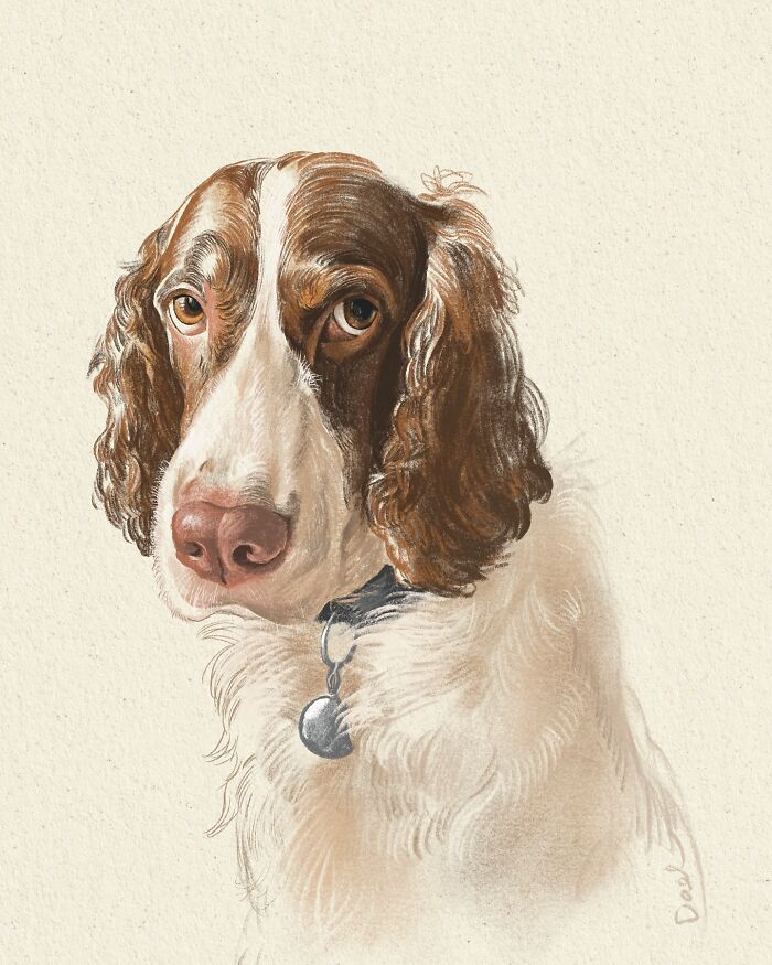 This Artist Draws Dog Portraits That Perfectly Capture Each Pet’s Personality (76 Pics)