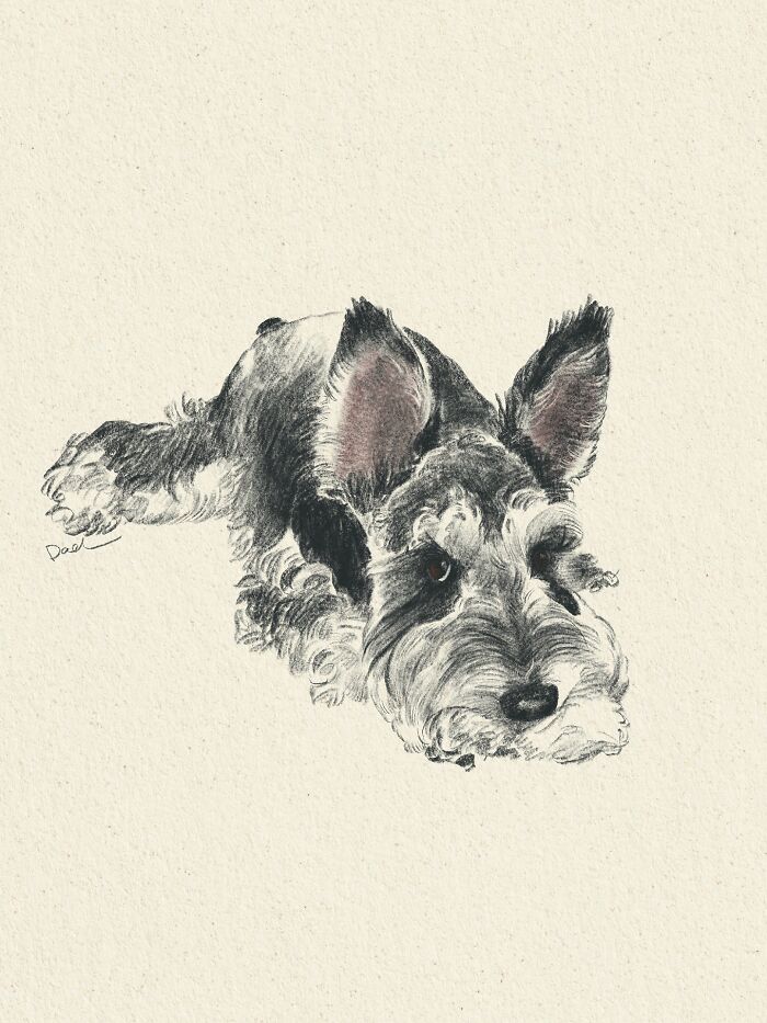 This Artist Draws Dog Portraits That Perfectly Capture Each Pet’s Personality (76 Pics)