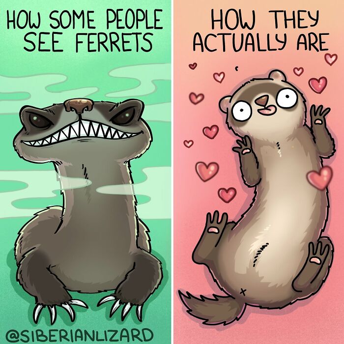 A Siberian girl illustrates funny situations with two ferrets, comparing how people see them versus how they actually are.