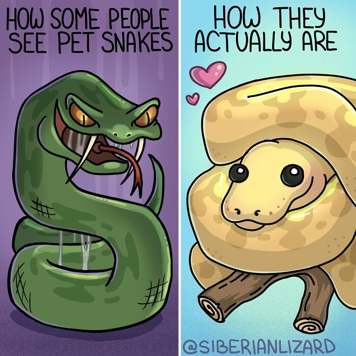 A Siberian girl illustrates funny situations with a pet snake, comparing how people see them versus how they actually are.