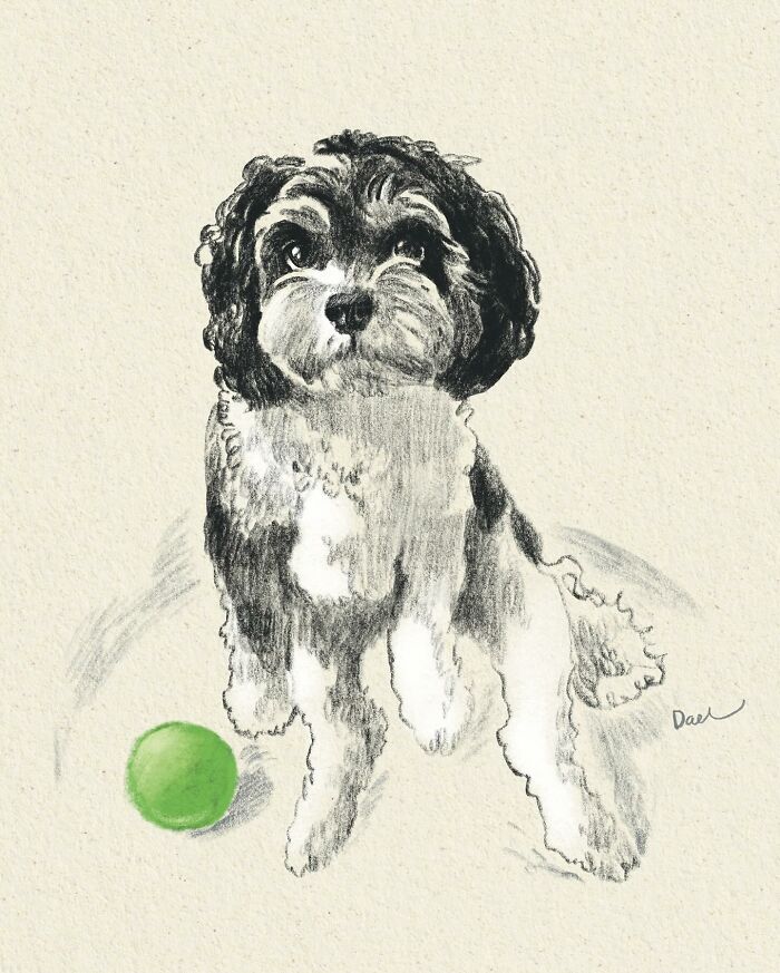 This Artist Draws Dog Portraits That Perfectly Capture Each Pet’s Personality (76 Pics)